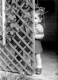 ילדה מסתתרת מאחורי גדר (ויקיפדיה)