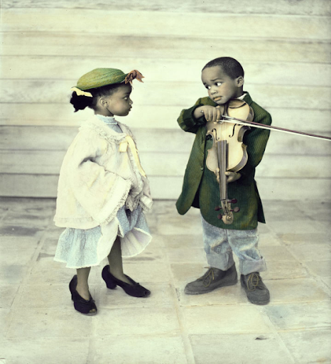 Violin Serenade is a photograph by Nora Hernandez which was uploaded on March 11th, 2020.